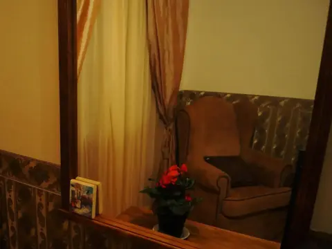 Boutique Troy Hotel - Photo 3