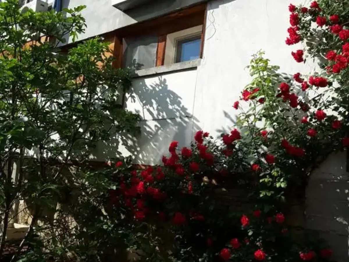 Diana Guesthouse