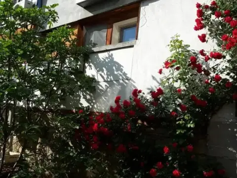 Diana Guesthouse - Photo 1