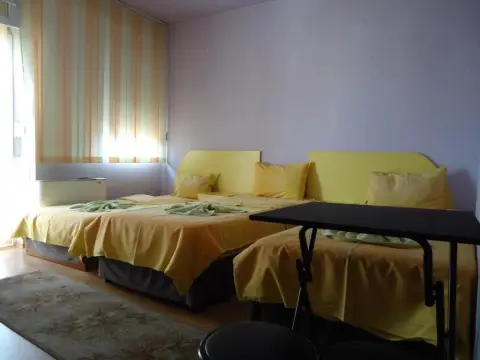 Dionis Hotel - Photo 2
