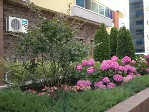 Elizabeth Apartments - Photo 1