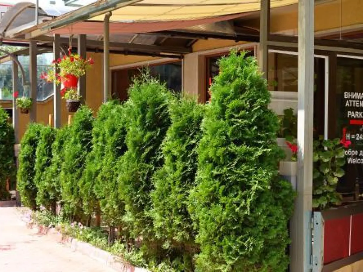 Family Art-Hotel Zora