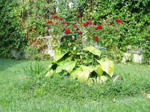 Guest House Ivel - Photo 2