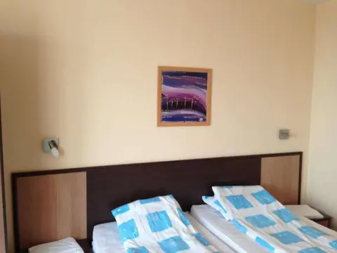 Hotel Regina - Photo 4
