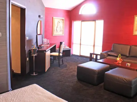 Hotel Concorde - Photo 4