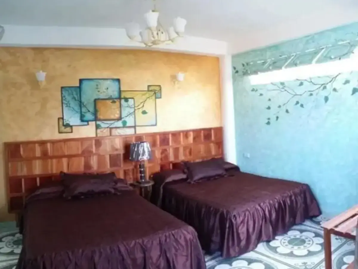 Girasol and Friends Rooms