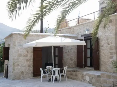 Palm Tree Oriental House and Homestay - фото 2