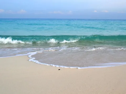 Aida Beach Hotel - El Alamein - Photo 2