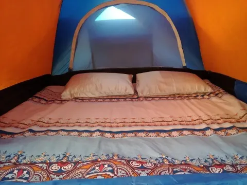 Divers Lodge - Photo 2