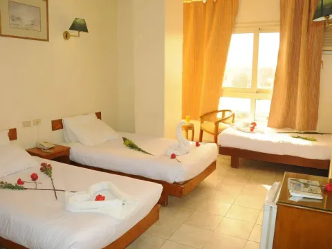 Nile Hotel Aswan - Photo 3