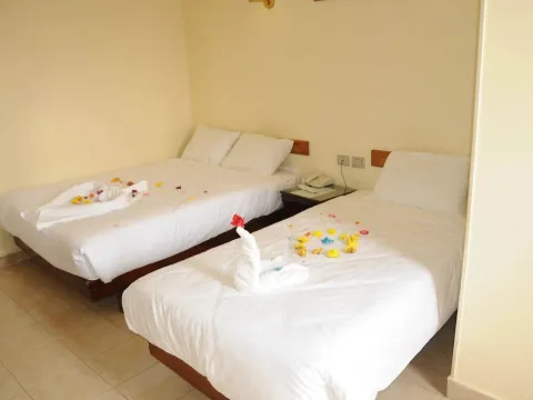 Nile Hotel Aswan - Photo 4