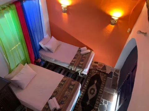 Nubian Farm - Photo 4