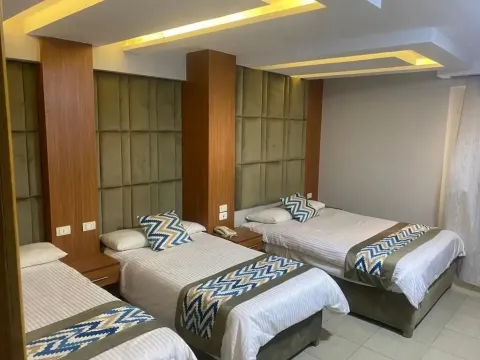 Panorama Hotel Tanta - Photo 3