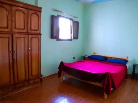 Pyramids Loft Homestay - Photo 3