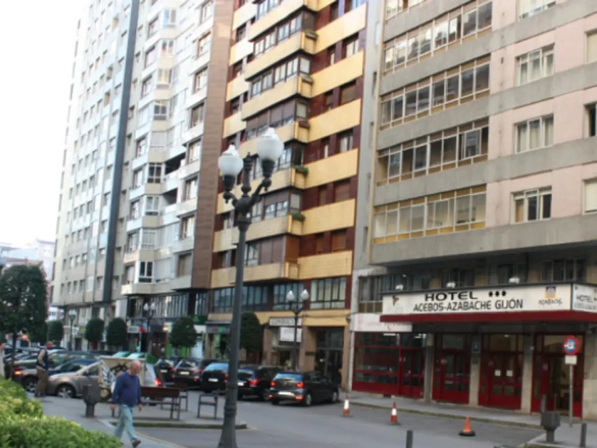 Acebos Azabache Gijón