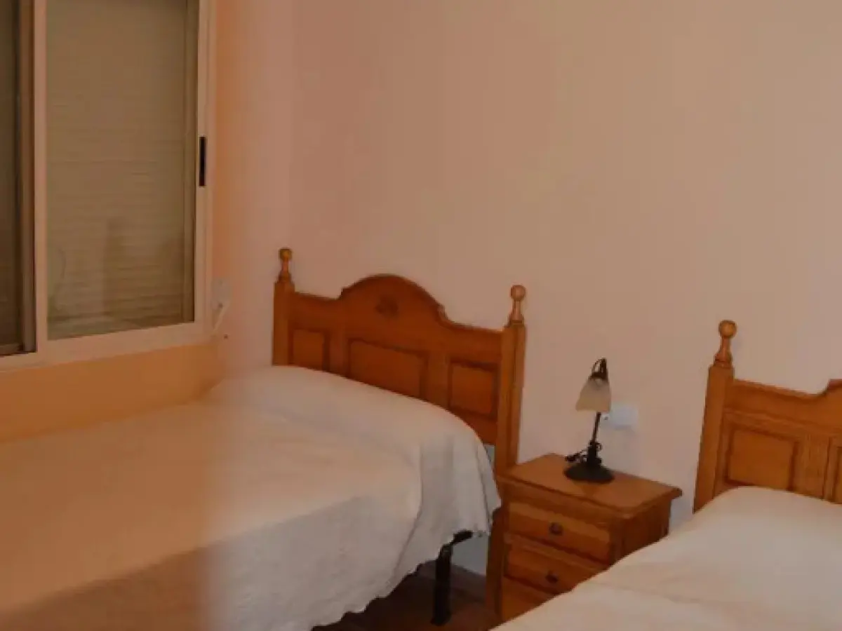 Agora Suite