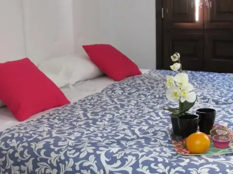 Apartamentos Iliberis - фото 4