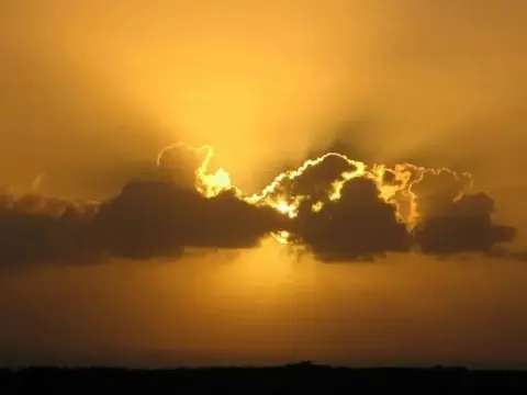 Apartment Karmyta - 346995 - Photo 2