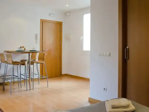 Avenida Apartments Ripoll GREEN - Photo 4
