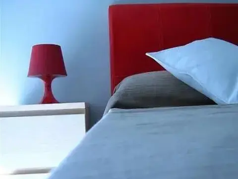 Blue Moon Apartments - Photo 3