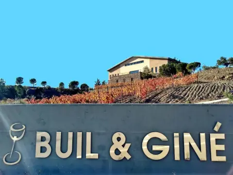 Buil & Gine Wine Hotel - Photo 1