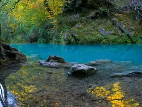 Gailupa - Photo 3