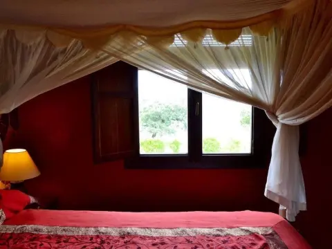 Casa Rural Alcornocalejo - Foto 4