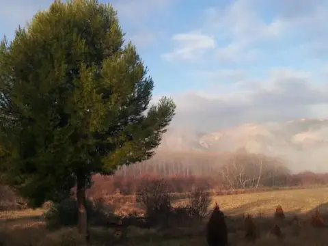 Cortijo Anchurones De San Pedro - Photo 4