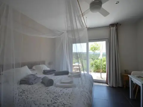 El Pao - Foto 2