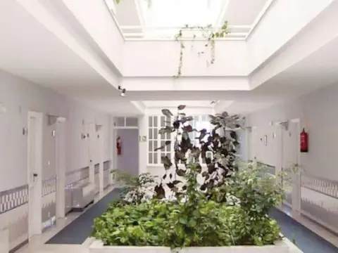 ELE La Perla - Photo 4