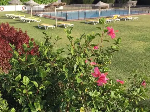 Estudio a 10 minutos del Puerto Banus - Photo 1