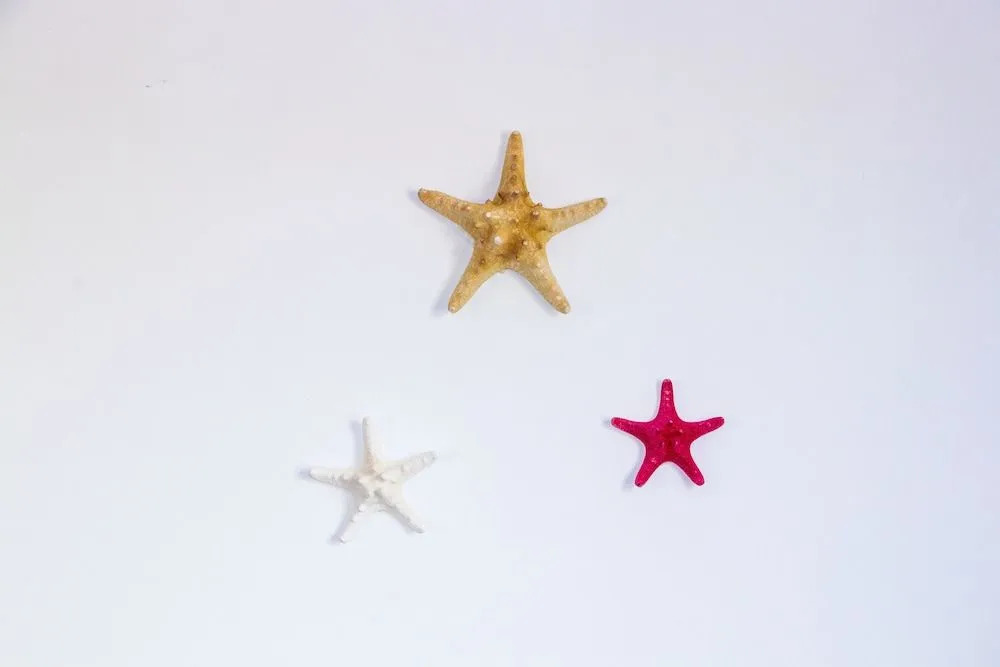 Gbh Fuerteventura Paradise Surf Hostel - Foto 4