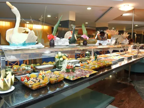 GRAN HOTEL COSTA DEL SOL