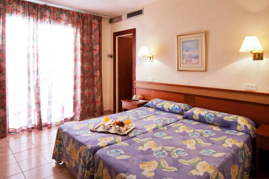 htop Alexis - Photo 4