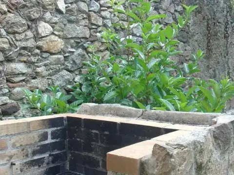 Habitatges turístics Les Tranquiles - Photo 3