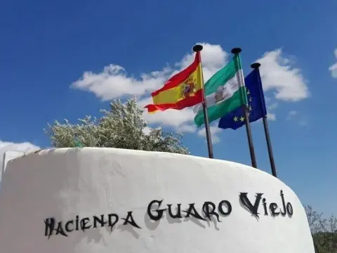 Hacienda Guaro Viejo - Photo 1