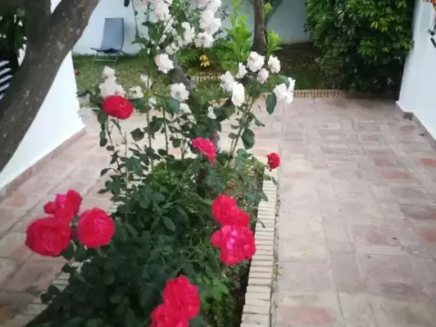 Hostal Frasquita - Photo 2