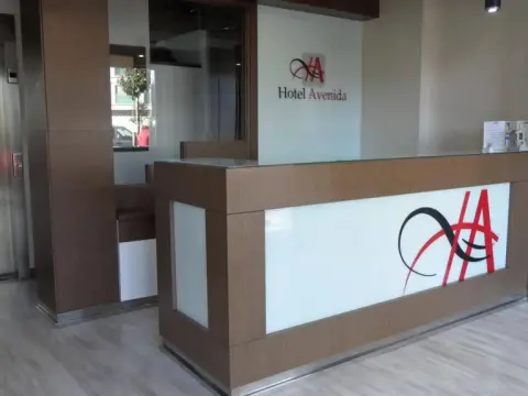 Hotel Avenida - Photo 2