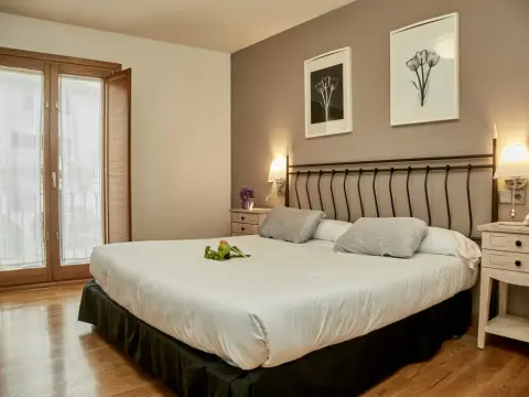 Hotel Casa Azcona - Photo 3