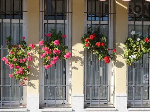 Hotel Lince - Photo 1