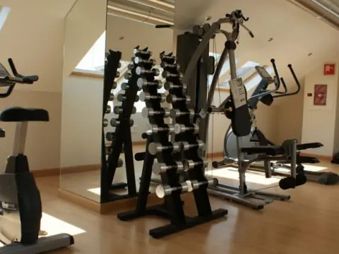 Hotel Mataelpino - Photo 4