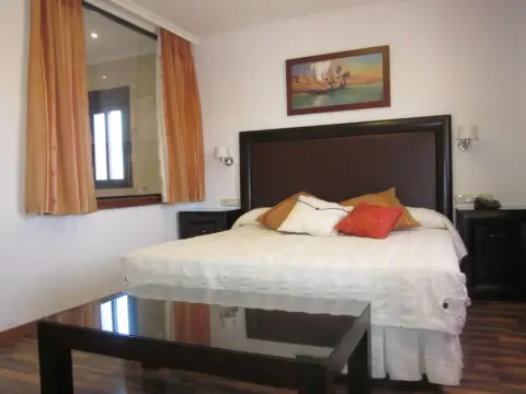 Hotel Mulhacén - Foto 4