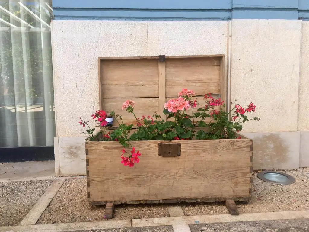 Hotel Patilla Ciudad de Requena - Photo 2