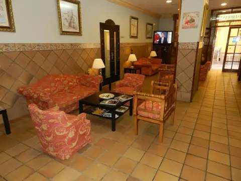 Hotel Plaza de Toros - Photo 2