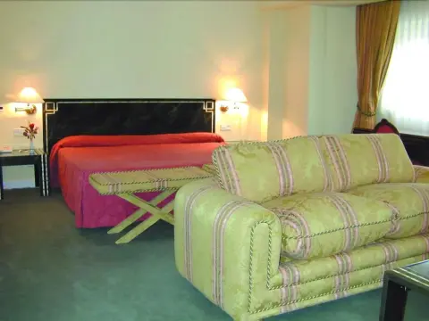 Hotel Sierra Real - Photo 4