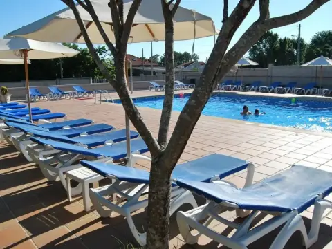 Hotel Ton - Photo 2