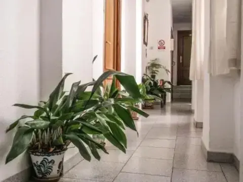 Pension Navarro Ramos - Foto 2