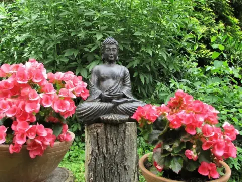 Satori B&B - Adults Only - Photo 2