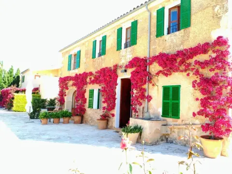 son capellot - Foto 1