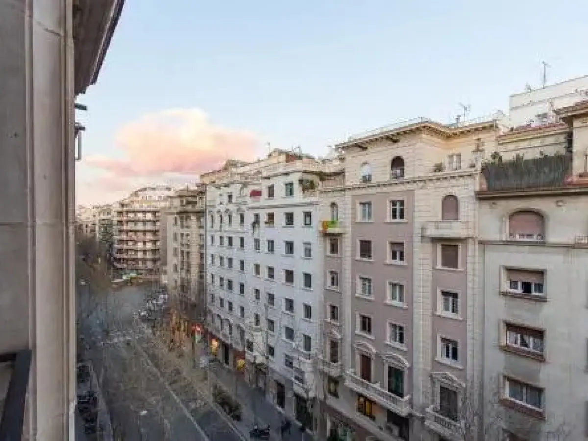 VINTAGE - Plaza Universidad